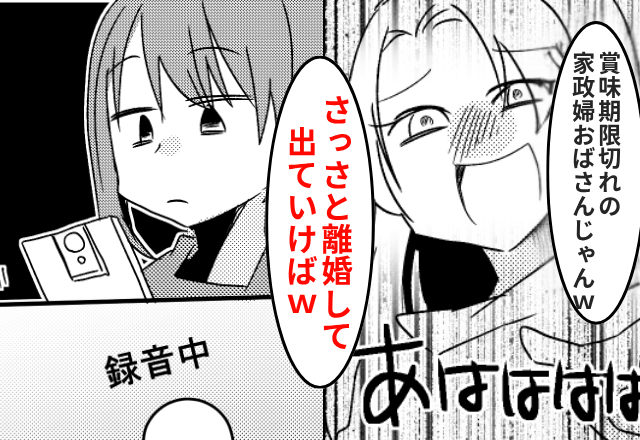 居候の義妹「おばさんは用済み！さっさ出て行け（笑）」私「これ録音してるよ？」⇒親戚全員の前で公開した結果（笑）