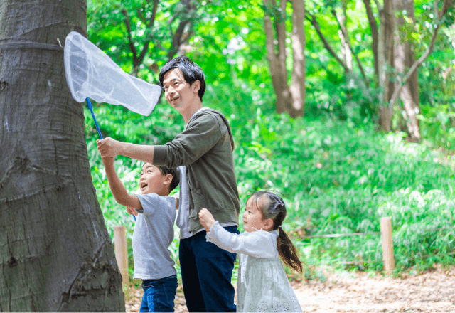 昆虫採集で子どもの探究心をくすぐろう！初心者ガイドから気をつけたい服装まで