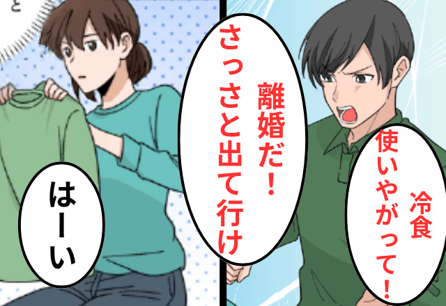 教師の夫「冷凍使う嫁なんかいらん！子ども連れて出て行け！」私「はーい」後日⇒夫が顔面蒼白になったワケ