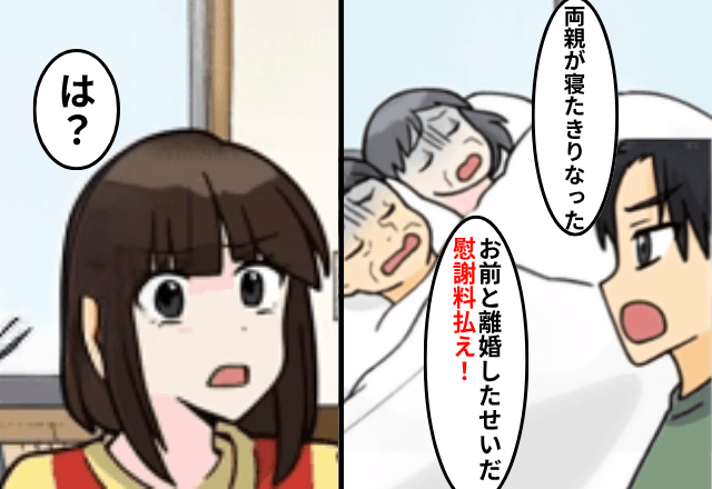 元夫「両親が寝たきりになった！慰謝料払え」私「は？」直後⇒元夫家族の”計画”を知り、思わず失笑