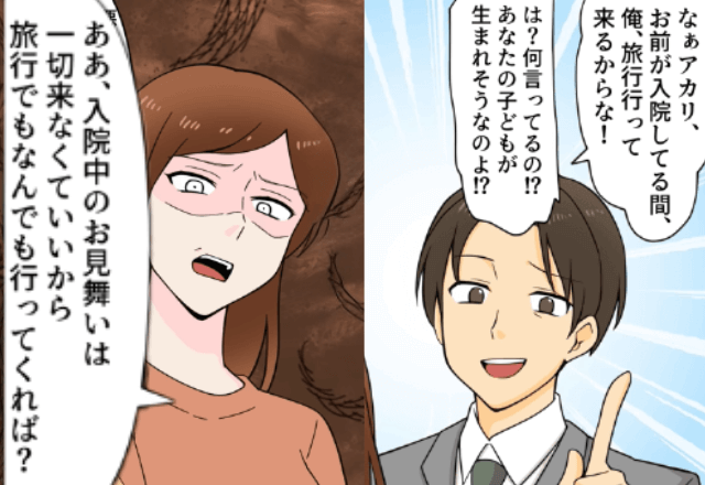 出産前の入院で…夫が「お前が居ない間に旅行にするわ！」と浮気旅行に出かけたで、”自由にさせた”結果