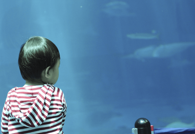 水族館で…「順番だからあっちに並んでね」子どもに声をかけた結果⇒親の信じられない態度に「え…」