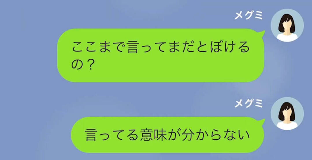 【LINE】いきなり離婚を申し出る夫→妻の浮気を疑うが実は…＃13