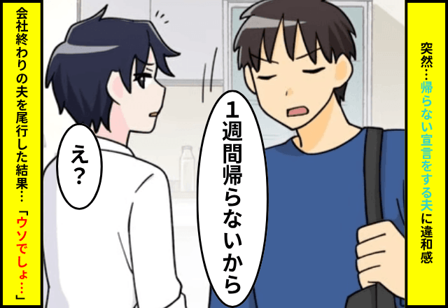 夫「今日から1週間帰らないから」突然の宣言に違和感…尾行した結果⇒発覚した【恐ろしい事実】にゾッ…