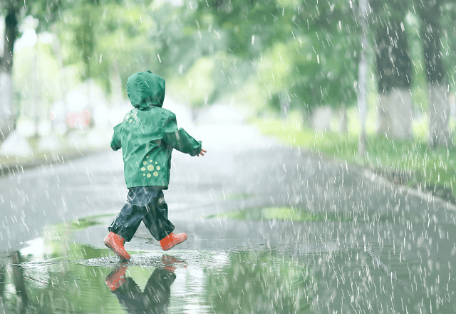 おやこで楽しむ梅雨の自然観察：身近な生き物を探そう