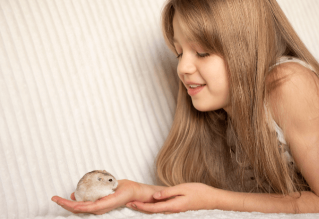その準備、足りてる？子どもとハムスターが安心して暮らすために
