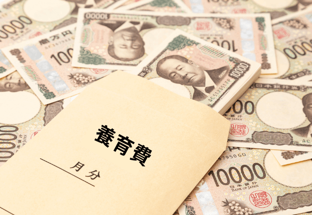 元義母「先月から養育費10万円ね」私「それ、違法ですよ？」直後→ありえない発言に弁護士を呼んだ結果…