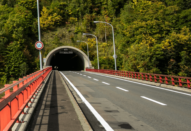山道を走るバスで…「この先“出る”かも？」運転手の言葉に笑う乗客。直後⇒【衝撃の結末】に全員絶句…