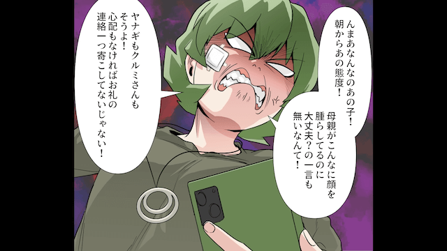 酔っ払って孫を危険に晒した母の末路＃4