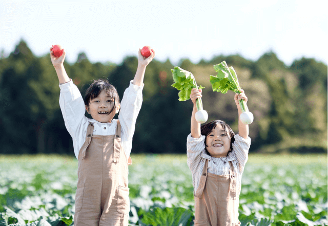 子どもが夢中になる！家庭菜園を食育に活かす楽しいコツ
