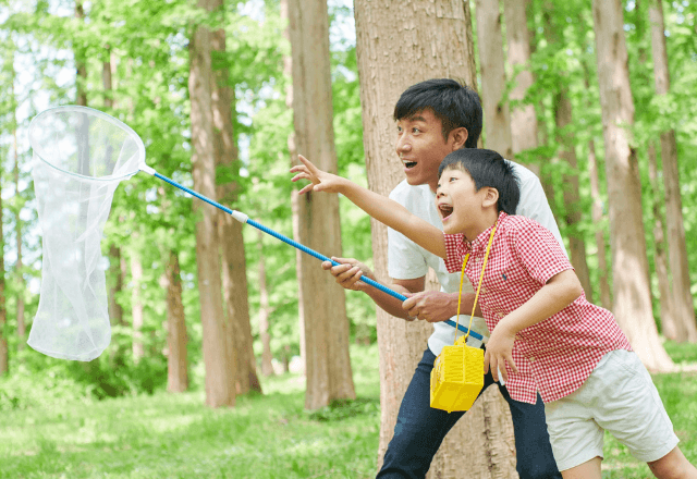 虫捕りが与える子どもへのメリット！おやこで楽しむコツ