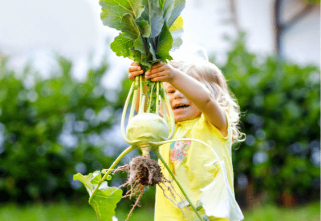 おやこで楽しむ家庭菜園！子どもが飽きずに野菜を育てるコツ