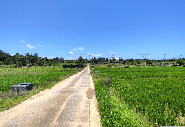 夏の旅行中…「エンジンがかからない！」猛暑の車内でパニックになった直後⇒九死に一生を得た【衝撃のワケ】…