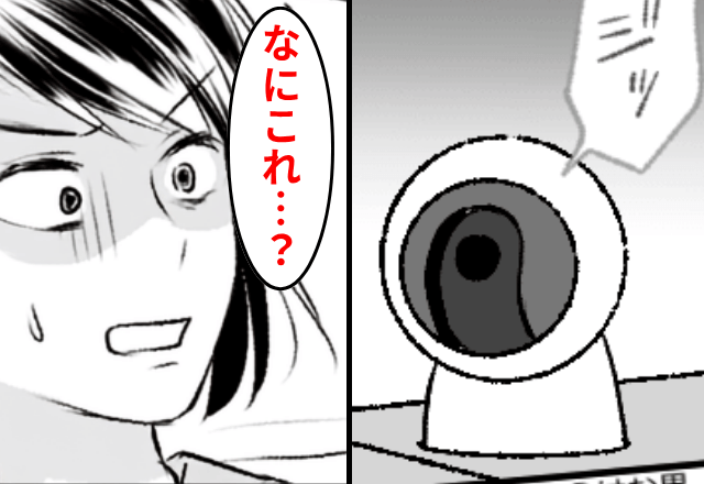 陣痛中…“音信不通”の夫に違和感。ペットカメラを確認した結果⇒画面に映った【衝撃の光景】に戦慄…