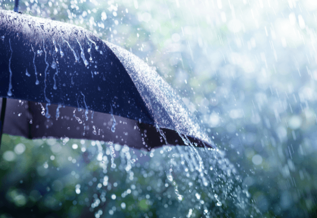 雨の夜…見知らぬ老人に傘を譲った結果⇒まさかの再会がもたらした【人生を変える恩返し】に涙…