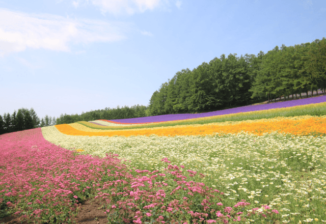 3月に出てくる虫は？子どもと始める春の昆虫観察