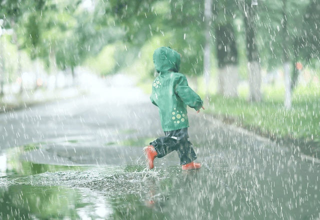「なんで？」が増える！梅雨の生き物観察が子どもの探究心を伸ばす理由