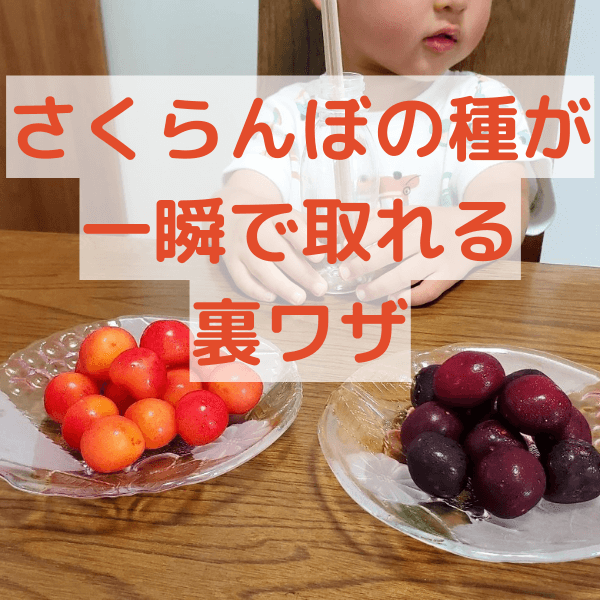 さくらんぼの種がスポンと一瞬で抜ける！？家にあるものでできちゃう種取りの裏ワザ！