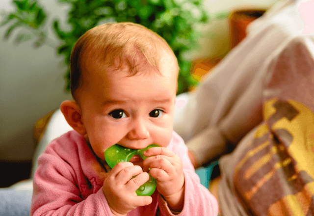 子どもの未来を祝う特別な儀式：お食い初めでの「歯固め石」の全て