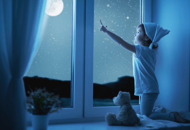 「夏の風物詩、どう伝える？」夜空や花火がもっと身近になる絵本5選
