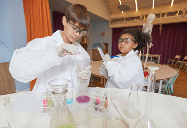 小学生でも簡単！短時間で完成する自由研究